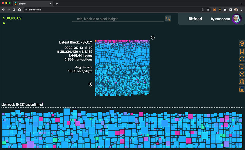 Bitfeed block activity live